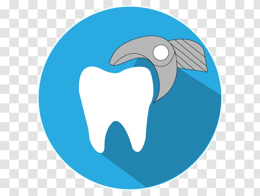 Favicon Internet - Dolphin - Surgeon Transparent PNG