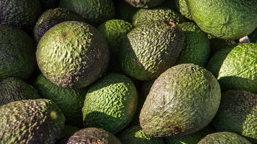 Hass Avocado Fruit Food Auglis Plant - Winter Squash Transparent PNG