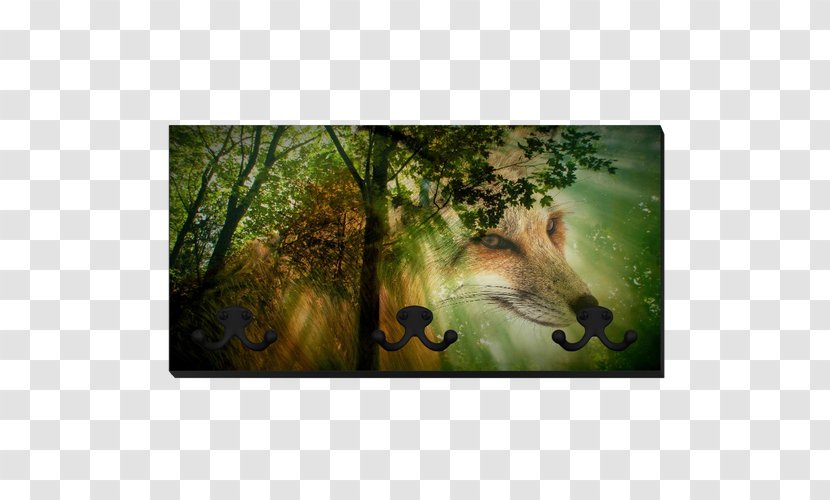 Red Fox Forest Desktop Wallpaper Wildlife - Flora Transparent PNG