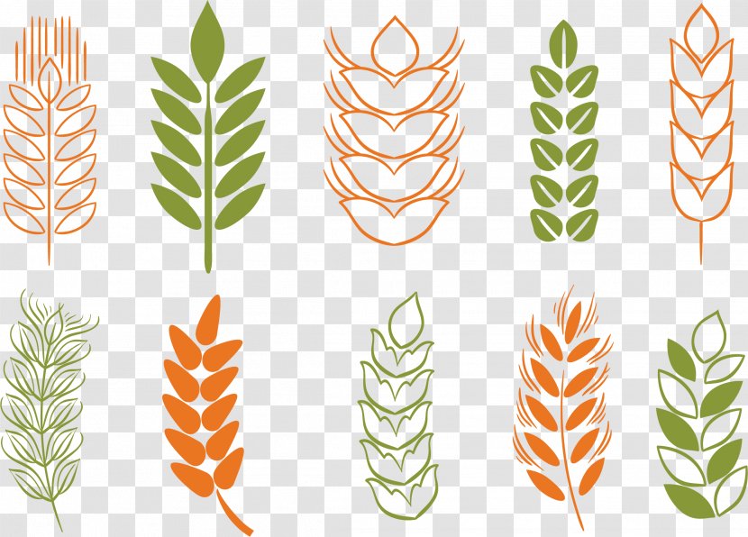 Wheat Cereal Rice - Grass - Ear Icon Transparent PNG