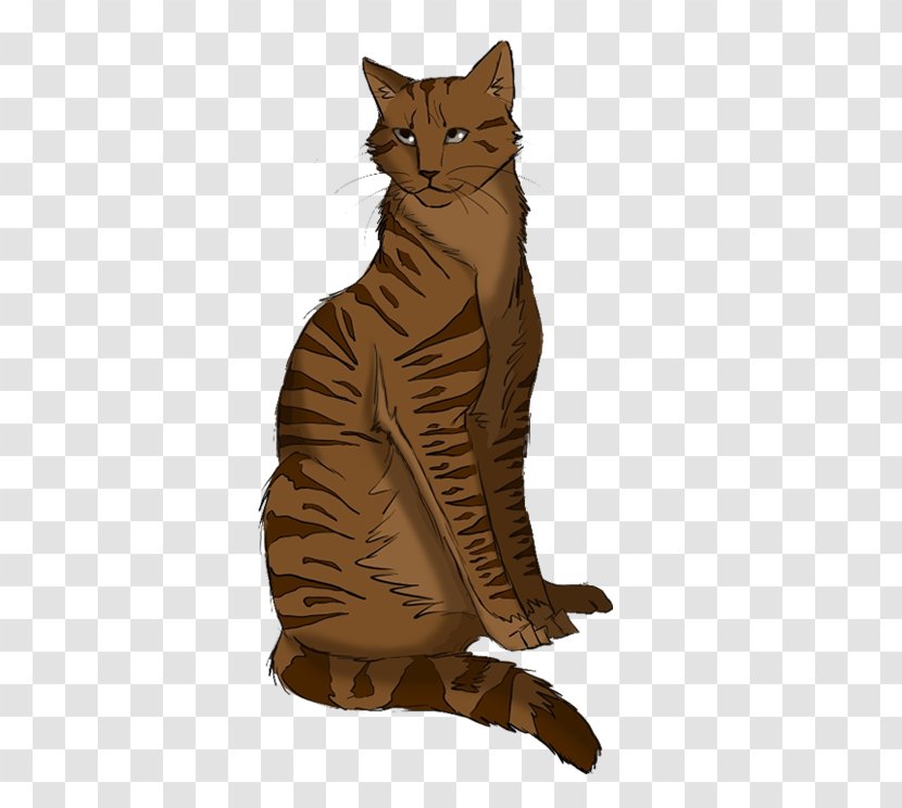 Warriors Long Shadows Whiskers Cat Erin Hunter - Red Tabby Transparent PNG