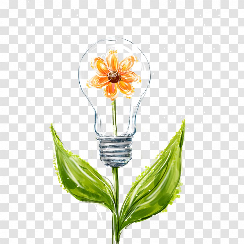 Flower Leaf Orange Blossom - Lamp - Plant Bulbs Transparent PNG