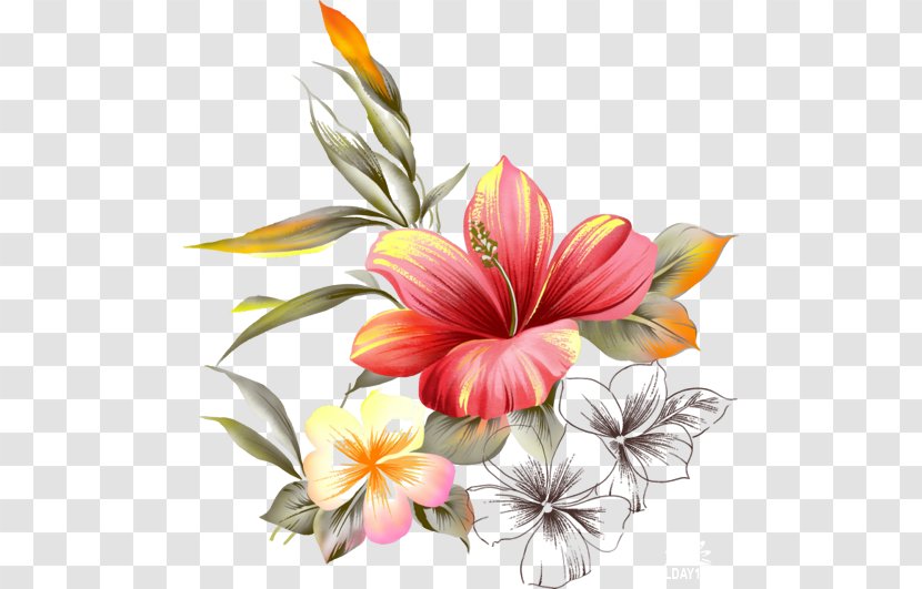 Sedbaru Vaiku Lopselis-darzelis Picture Frames Animaatio - Petal - Hand Draw Flower Transparent PNG