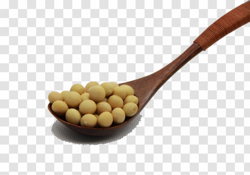 Soybean Soy Protein Ingredient Eating Spoon - Health - A Transparent PNG