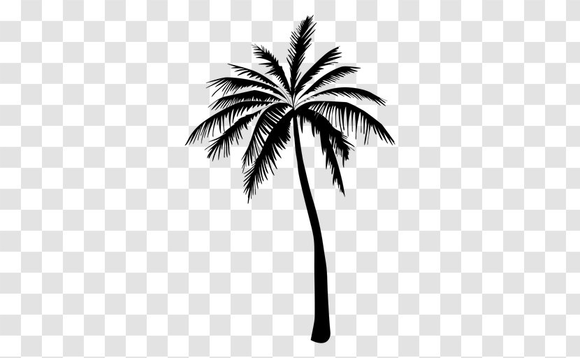 Arecaceae Tree Silhouette Drawing - Leaf Transparent PNG
