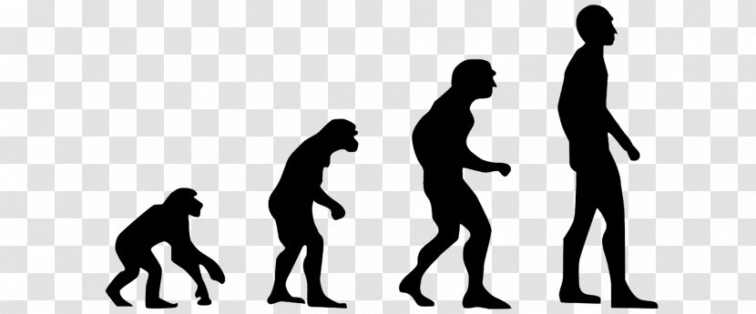 Homo Sapiens Evolution 2.0: Breaking The Deadlock Between Darwin And Design Human Technological Revolution - Charles Transparent PNG