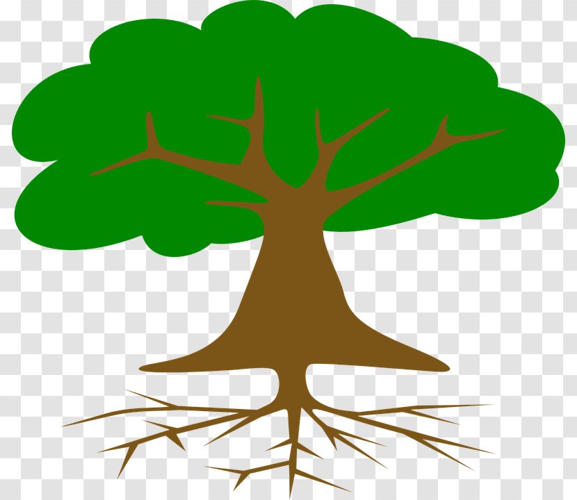 Tree Root Clip Art - Flora Transparent PNG