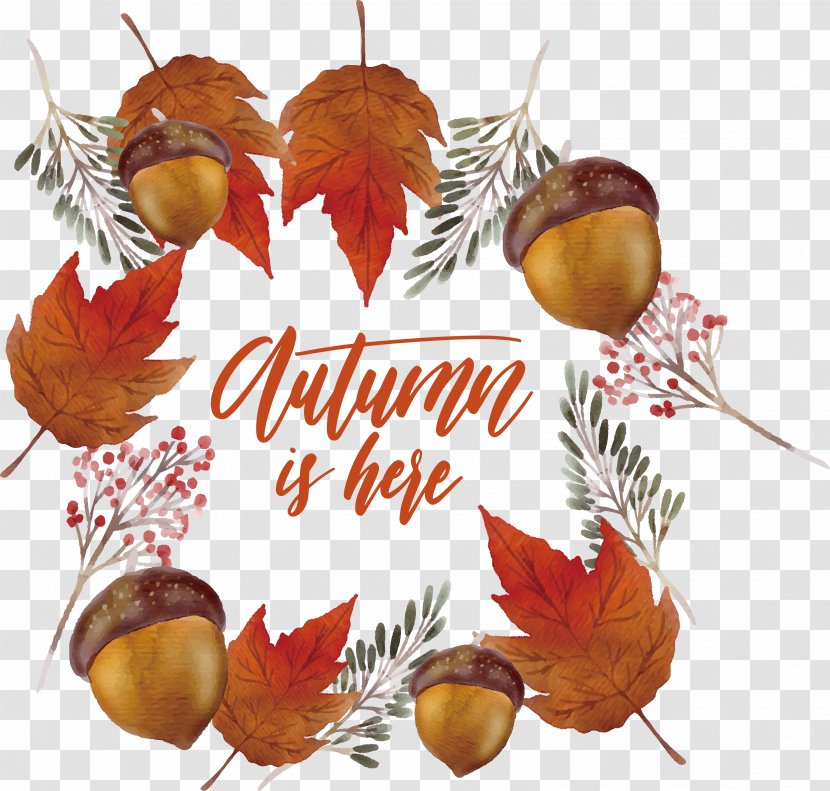 Leaf Download Euclidean Vector - Autumn - Pine Cone Maple Decoration Box Transparent PNG