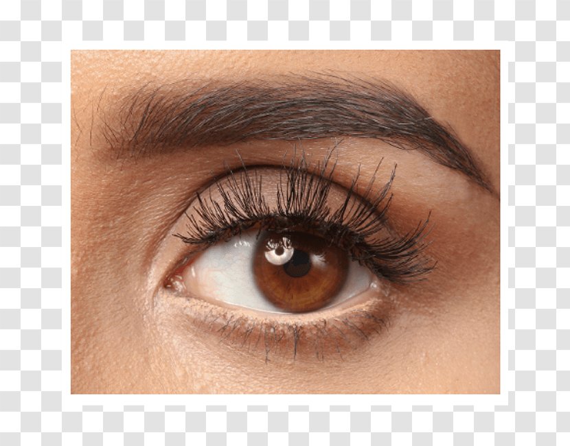 Eyebrow Permanent Makeup Microblading Cosmetics Eye Liner Transparent PNG