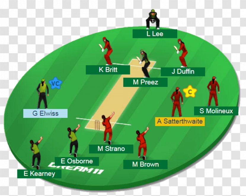 Indian Premier League India National Cricket Team Sri Lanka Fantasy 2017–18 Women's Big Bash Season - Grass Transparent PNG