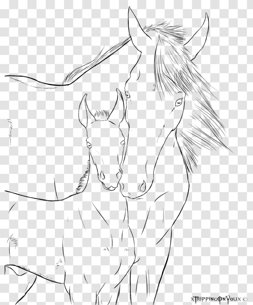 Appaloosa Foal Arabian Horse Mare Colt - Silhouette - Alogo Transparent PNG