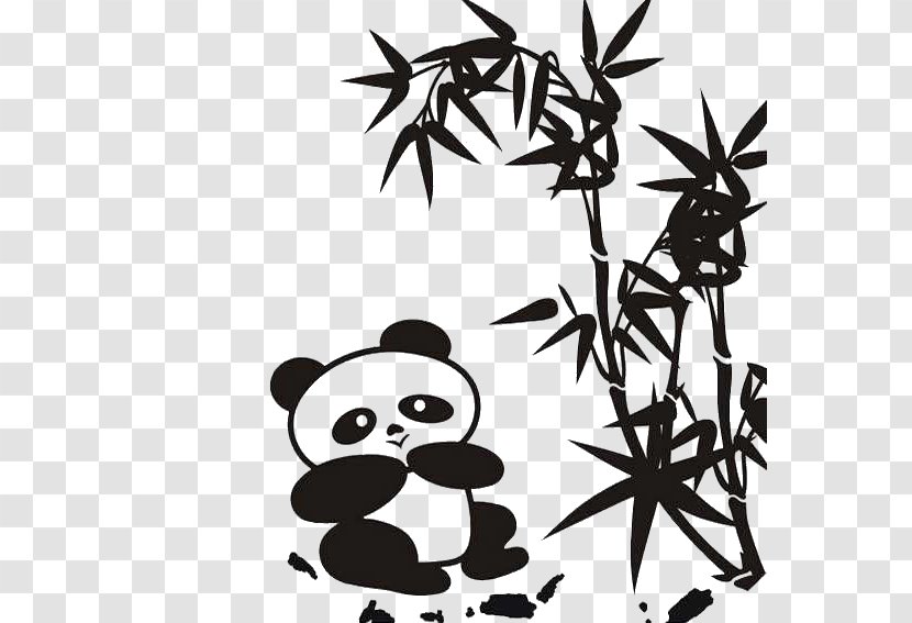Giant Panda Red Stroke Fargesia Child - Monochrome Photography - Eat Bamboo Transparent PNG