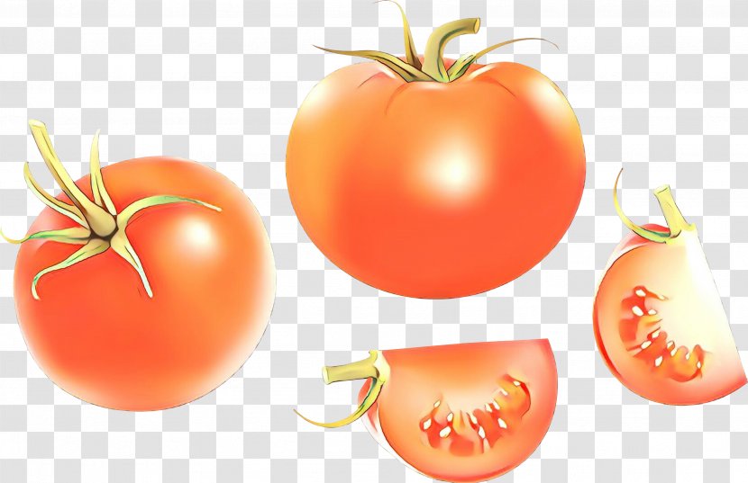 Tomato - Vegetable - Plant Bush Transparent PNG