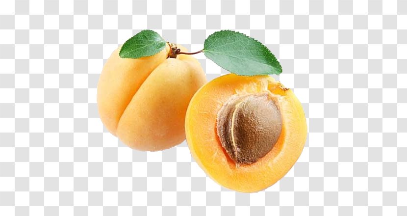 Apricot Clip Art - Jam Transparent PNG