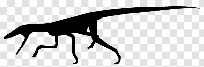 Terrestrisuchus Shuvuuia Theropods Dilophosaurus Archosaur - Jurassic Park - Dinosaur Silhouette Transparent PNG