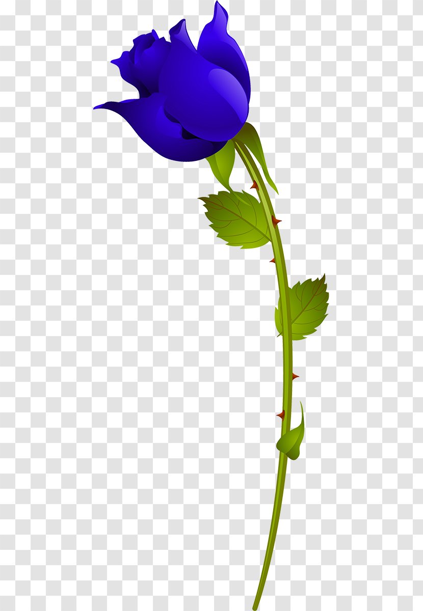 Cabbage Rose Beach Garden Roses Design - Blue - Botany Transparent PNG