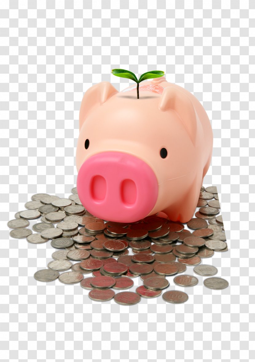 Piggy Bank Finance Money Insurance - Investment Transparent PNG