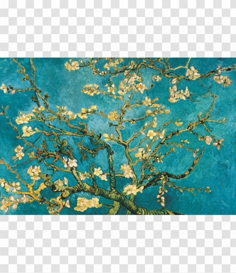 Almond Blossoms Van Gogh Museum Saint-Rémy-de-Provence Blossoming Branch In A Glass - Aqua Transparent PNG