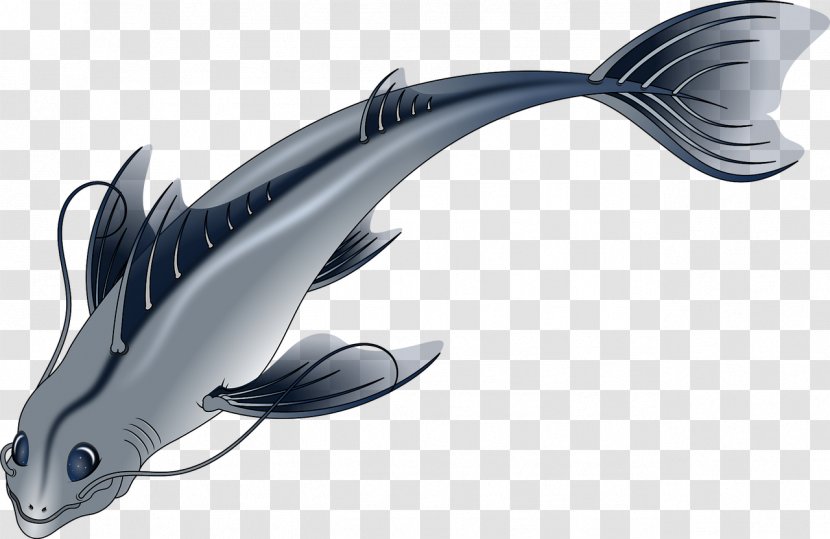 Download - Fish - Swimming Transparent PNG