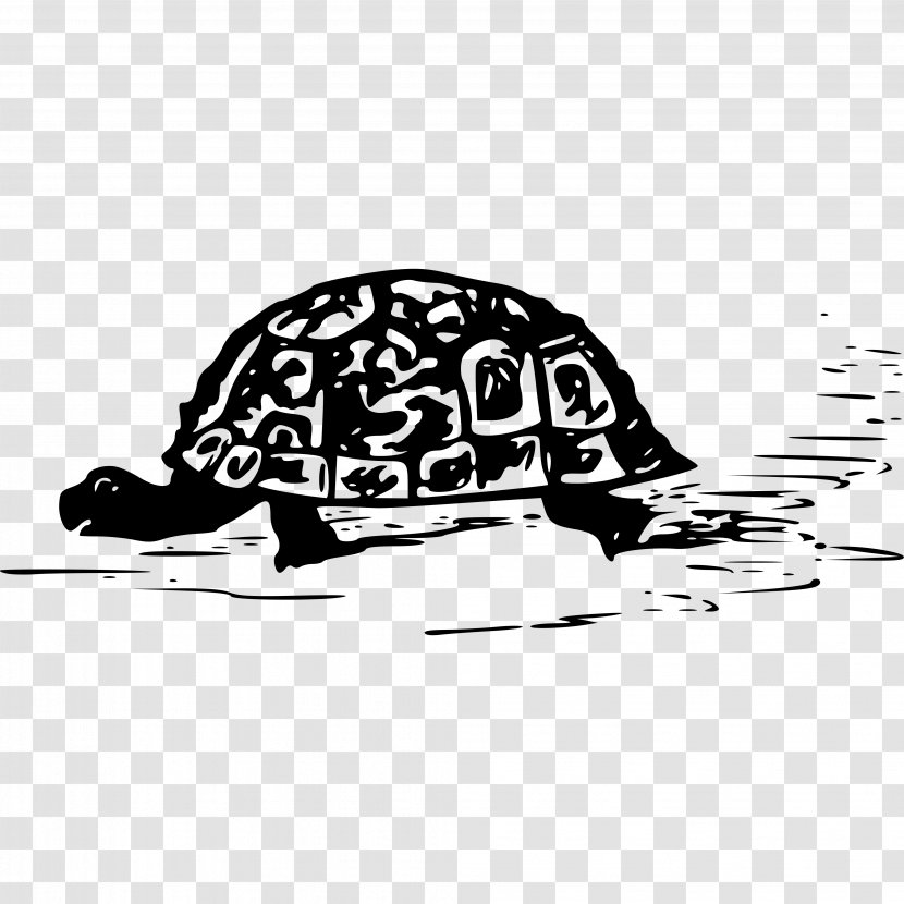 Sea Turtle Tortoise Reptile Clip Art Transparent PNG