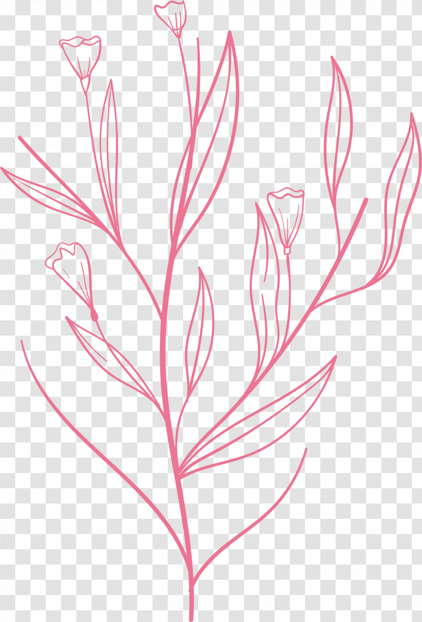 Simple Leaf Simple Leaf Drawing Simple Leaf Outline Transparent PNG