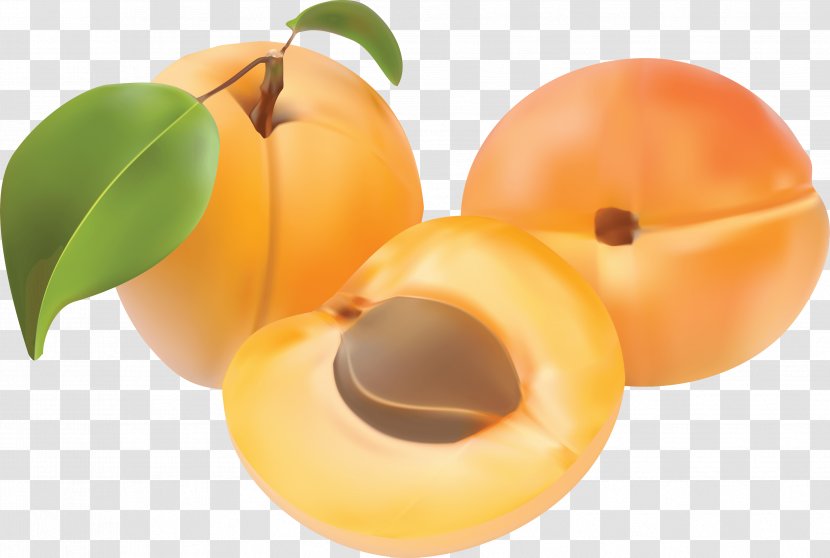 Peach Apricot Clip Art - Local Food - Image Transparent PNG