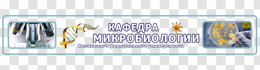 Kazan Federal University Микробиология: Учебник Microbiology Academic Department - Text - Biological Medicine Transparent PNG