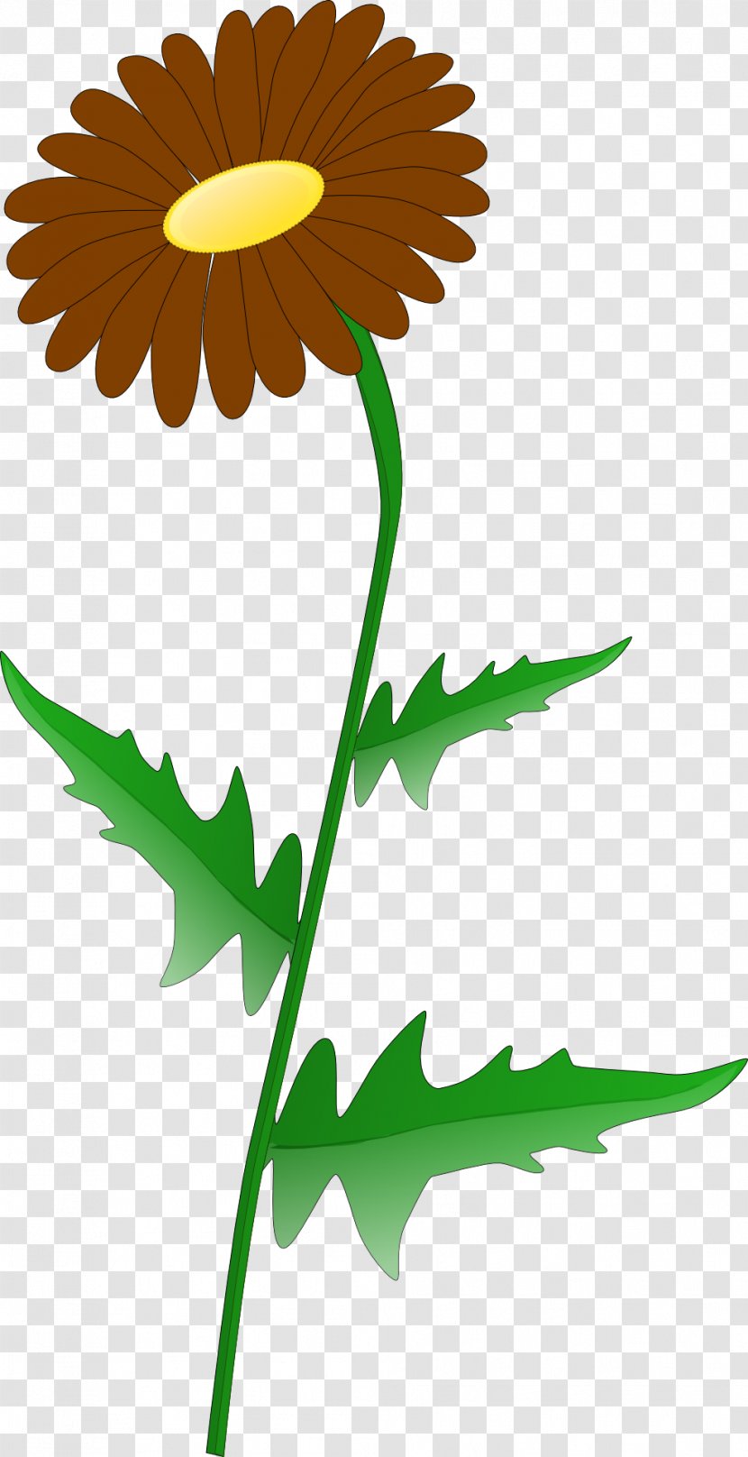 Clip Art - Flowering Plant - Greenery Border Transparent PNG