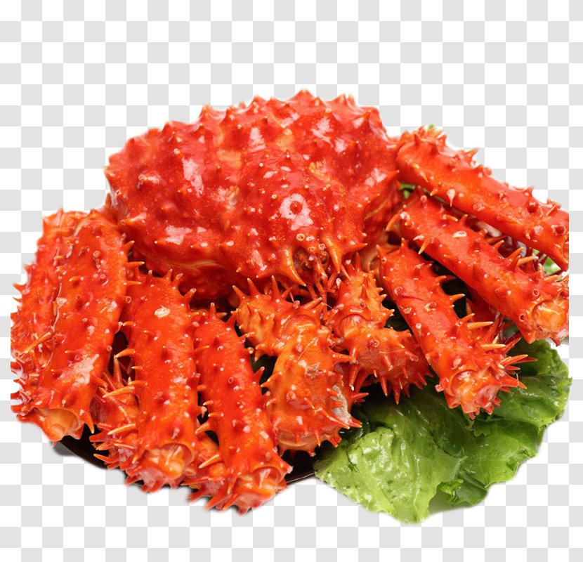 Red King Crab Seafood Shrimp - Chile Imported Transparent PNG