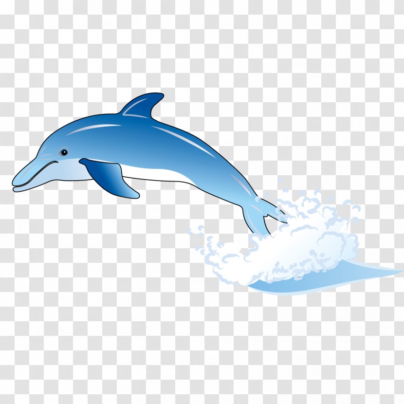 Common Bottlenose Dolphin Tucuxi Wholphin Short-beaked - Cartoon - Cute Transparent PNG