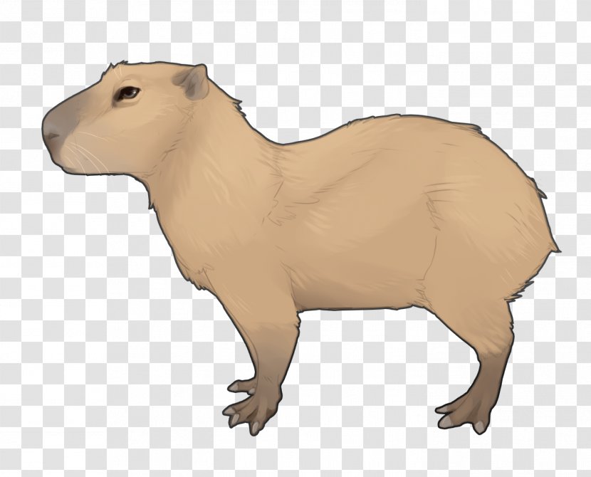 Capybara Animal Figure Terrestrial Snout Fawn Transparent PNG