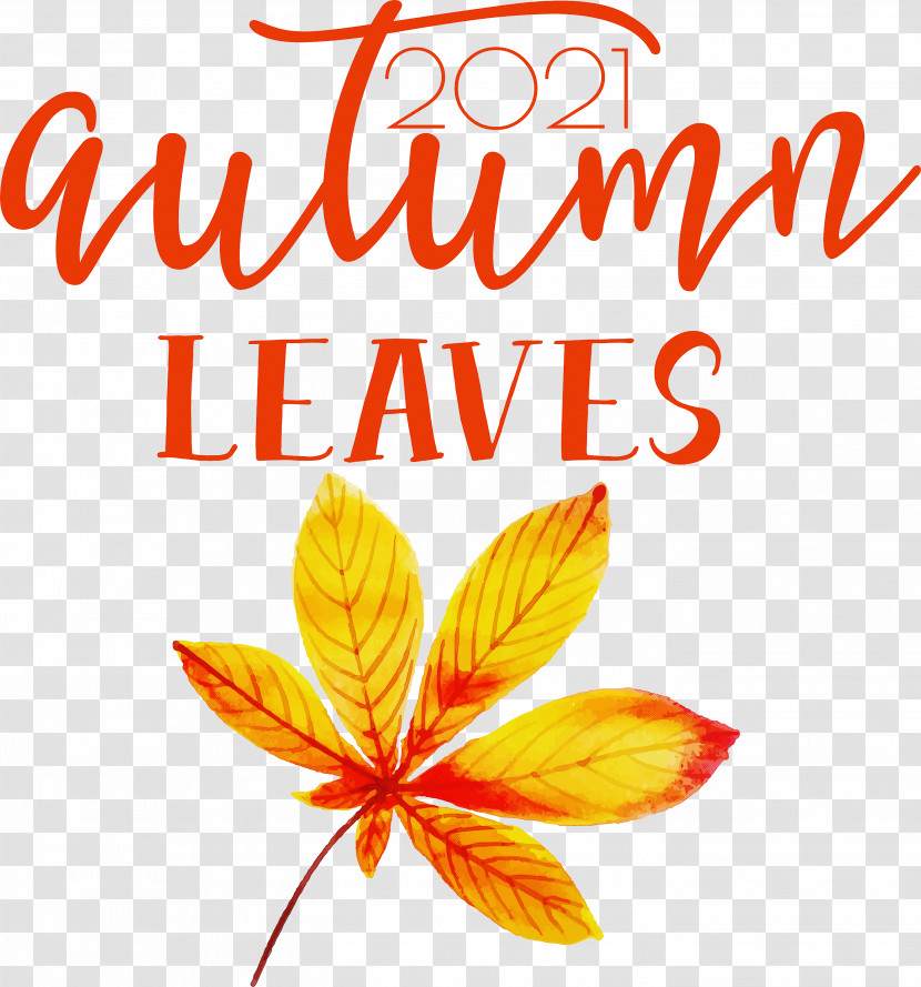 Autumn Leaves Autumn Fall Transparent PNG