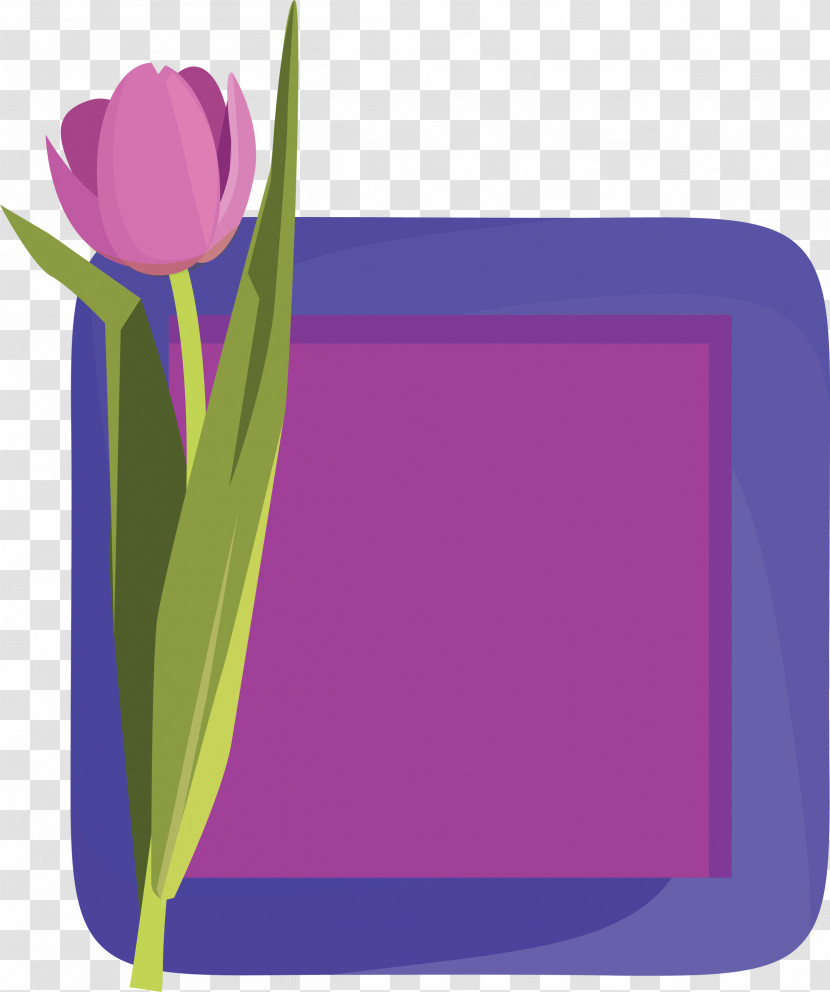 Flower Photo Frame Flower Frame Photo Frame Transparent PNG