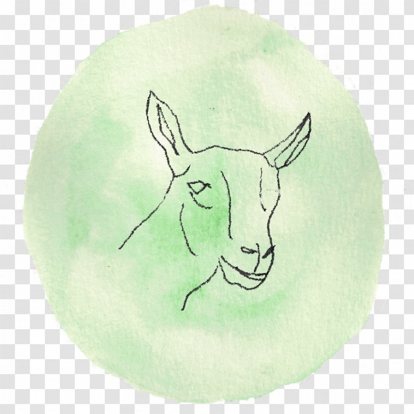 Cattle Goat Hare Drawing Food - Like Mammal - Capricorn Transparent PNG