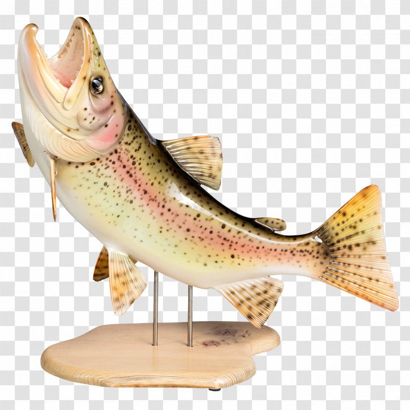 Figurine Trout Fish - Mouth Cloth Shoes Transparent PNG