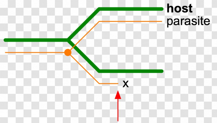 Line Angle Point - Parallel Transparent PNG