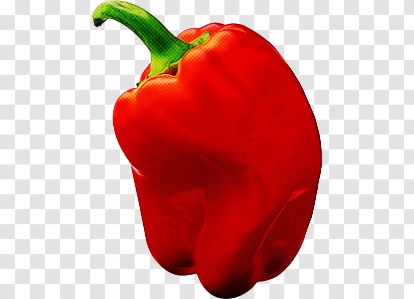 Bell Pepper Pimiento Capsicum Red Vegetable - Plant - Paprika Transparent PNG