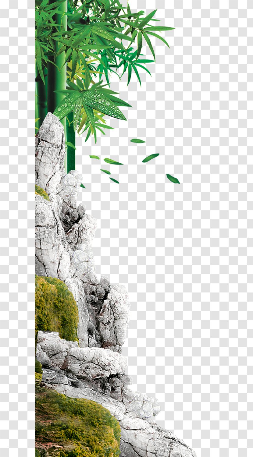 Poster Template - Grass - Green Bamboo Transparent PNG