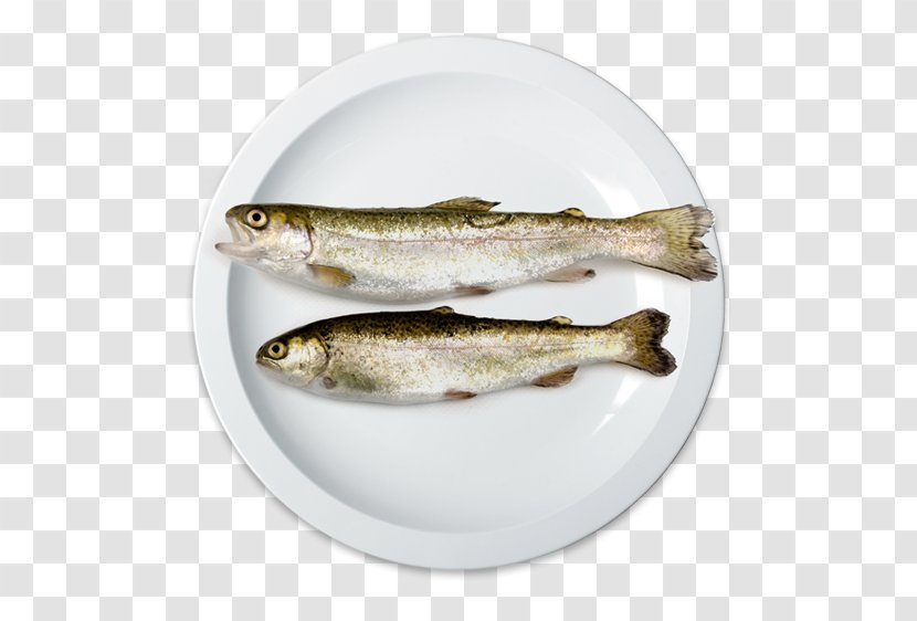 Sardine Salted Fish Capelin Oily Transparent PNG