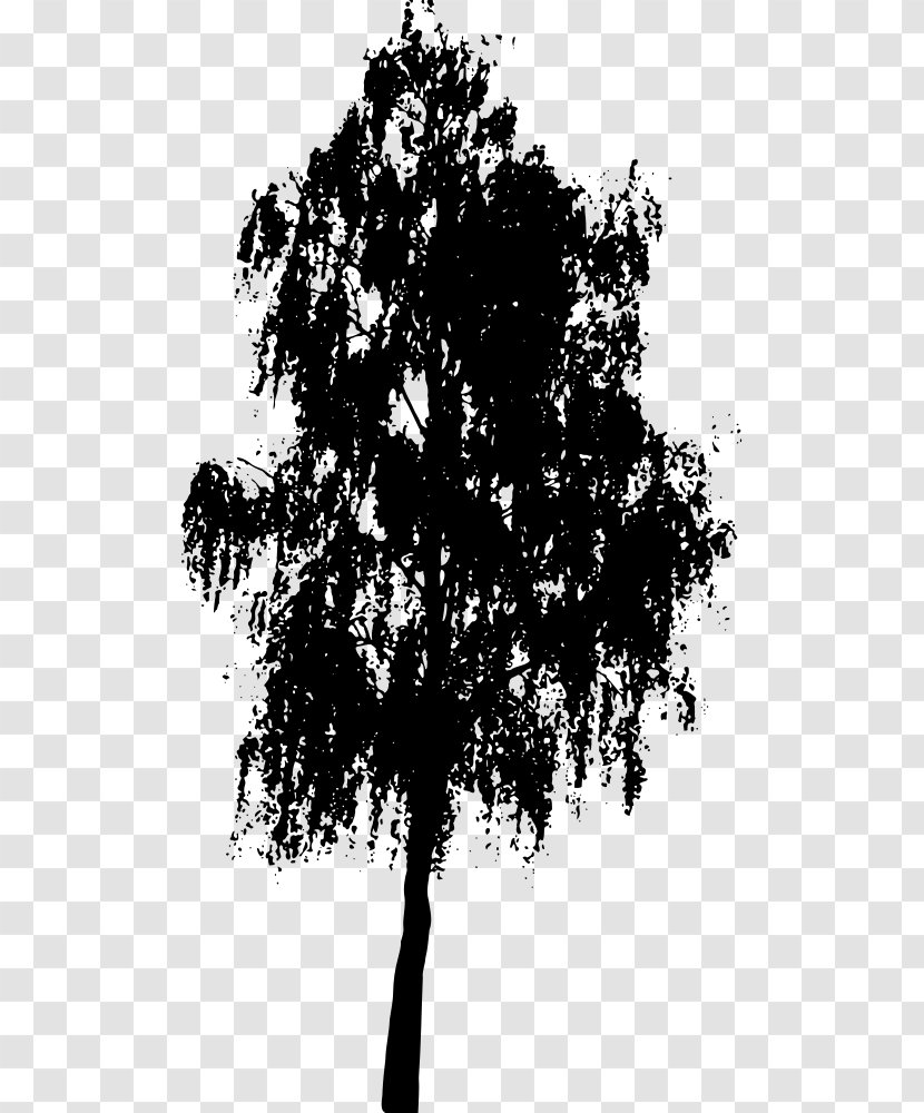 Tree Southern Live Oak Silhouette Clip Art - Monochrome Transparent PNG