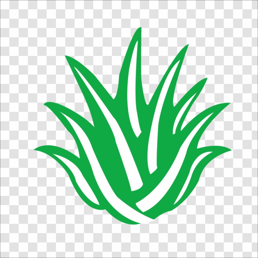 Aloe Vera Logo Icon - Green Transparent PNG