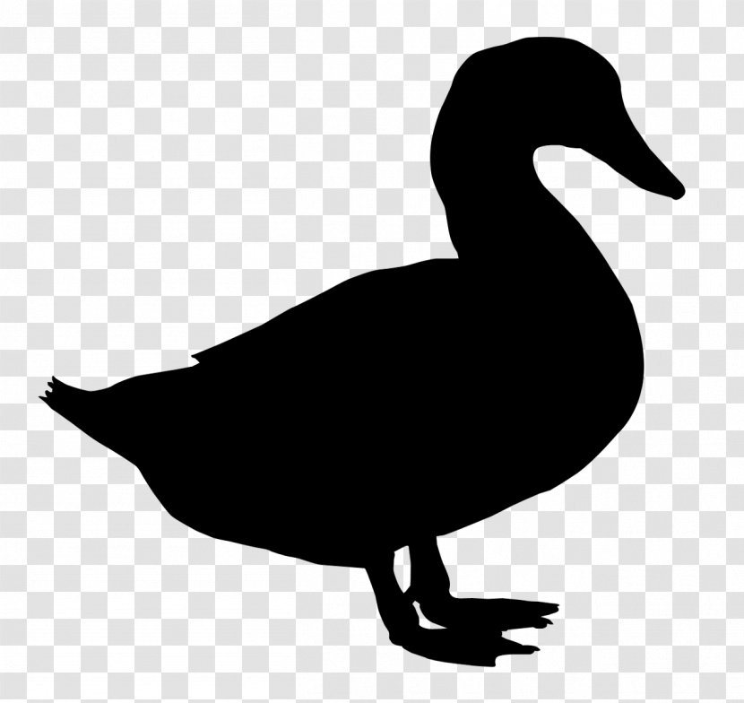 Duck Vector Graphics Royalty-free Clip Art Stock Photography - Silhouette - Seabird Transparent PNG