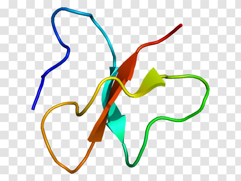 Beta Defensin Beta-defensin 2 3 Hairpin - Dimer Transparent PNG