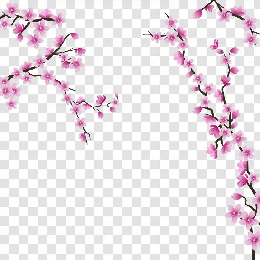 Cherry Blossom Wedding Invitation Flower - Tree - Blossoms Transparent PNG