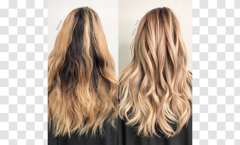 Blond Hairdresser Human Hair Color Highlighting - Step Cutting Transparent PNG