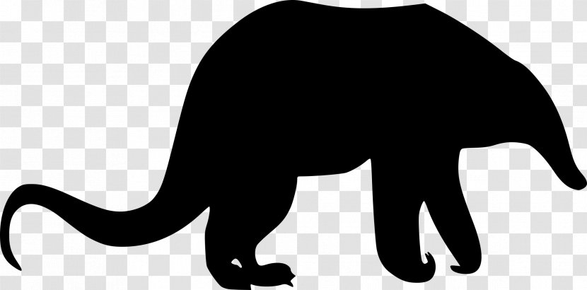 Giant Anteater Cat Animal Clip Art - Like Mammal Transparent PNG