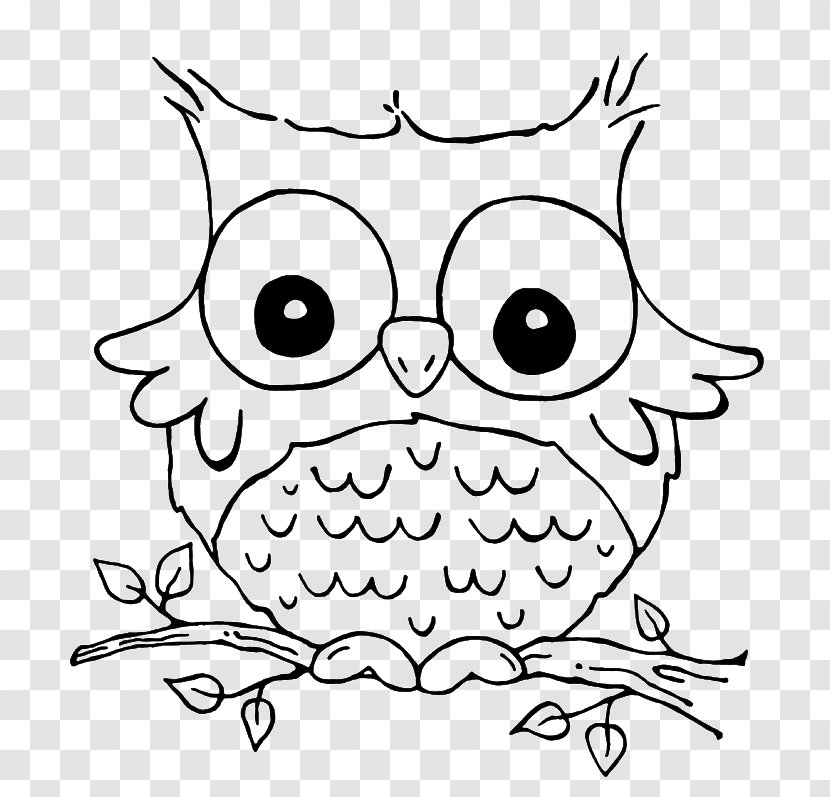 Coloring Book Animal Cuteness Adult Owl - Frame - Monster Printing Transparent PNG