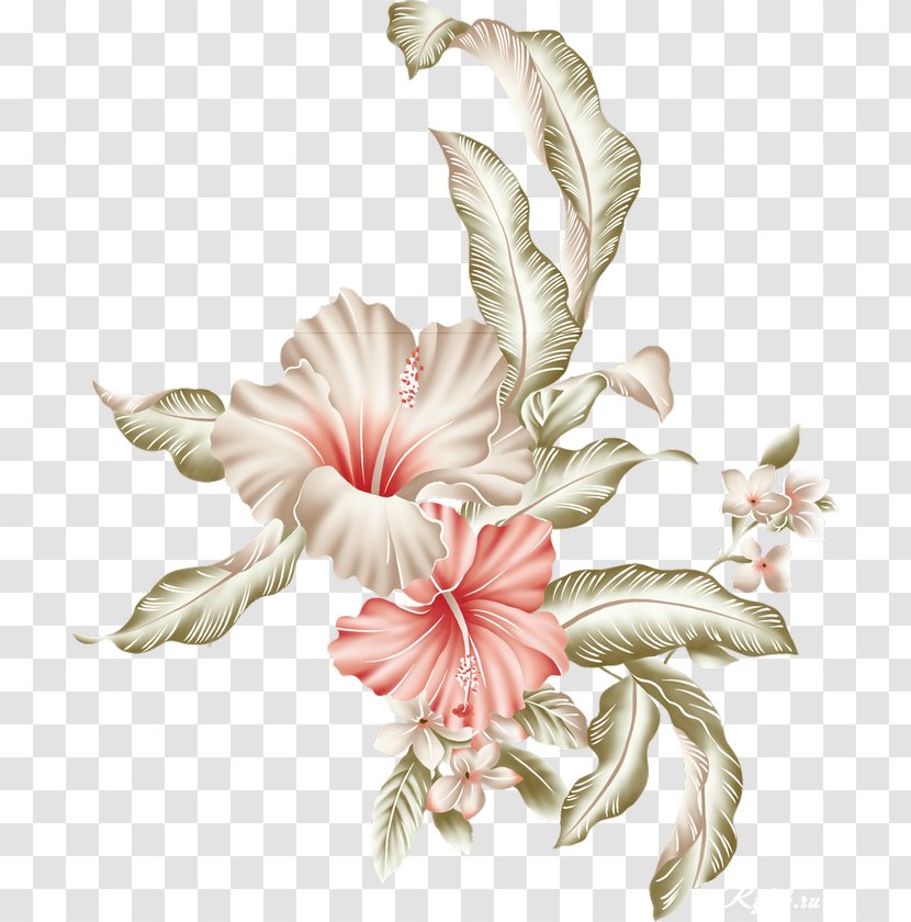 Flower Image Rosemallows Illustration Paper - Pink Transparent PNG