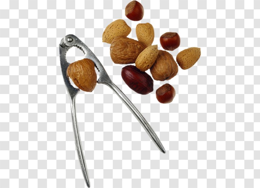 Nuts Auglis Walnut - Superfood - Fruit Sec Transparent PNG