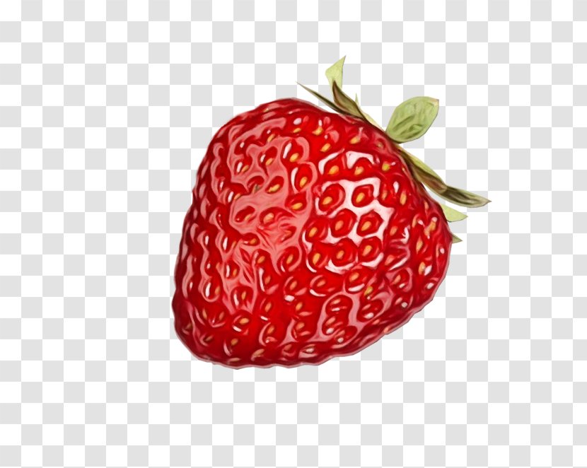 Strawberry - Wet Ink - Plant Food Transparent PNG